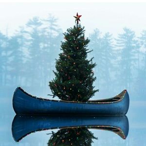 Meet your Posher, Chelsey