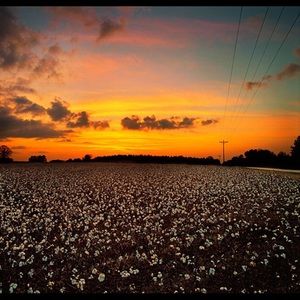 Meet your Posher, Marcus