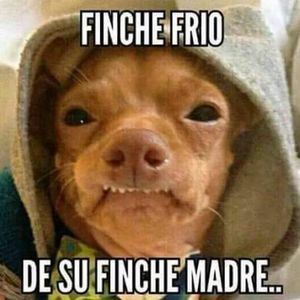 Meet your Posher, Misael