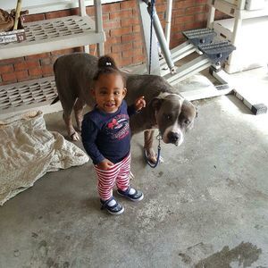 Meet your Posher, William