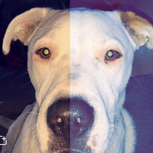 Meet your Posher, Erik