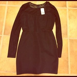 Long Sleeve Little Black Dress with Mesh Detail