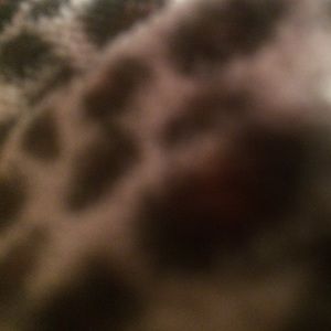 Meet your Posher, Jules