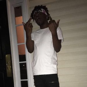 Meet your Posher, Roy