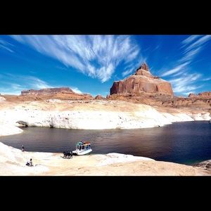 Meet your Posher, Sunny