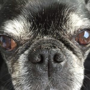 Meet your Posher, Kristin