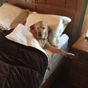 Meet your Posher, Lisa