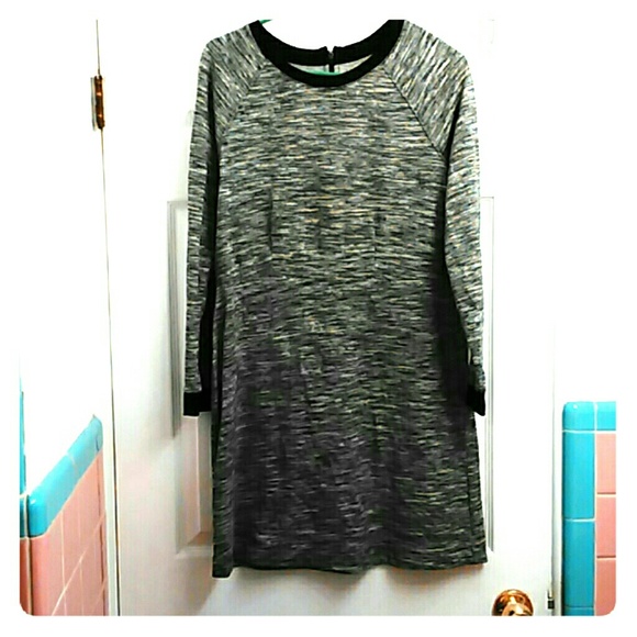 Lou & Grey Dresses & Skirts - SALE!!!!! Loft Snug and warm dress. Worn twice.