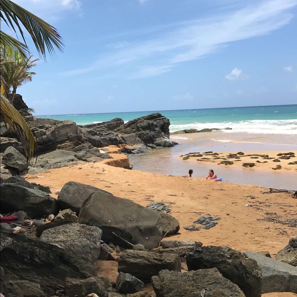 Meet your Posher, Jenny