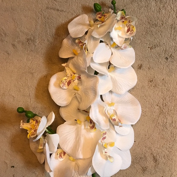 Meet your Posher, Jaqueline