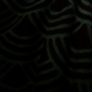 Meet your Posher, Devondre