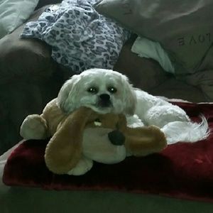 Meet your Posher, Fatima