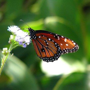Meet your Posher, Yvette
