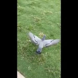 Meet your Posher, Evan