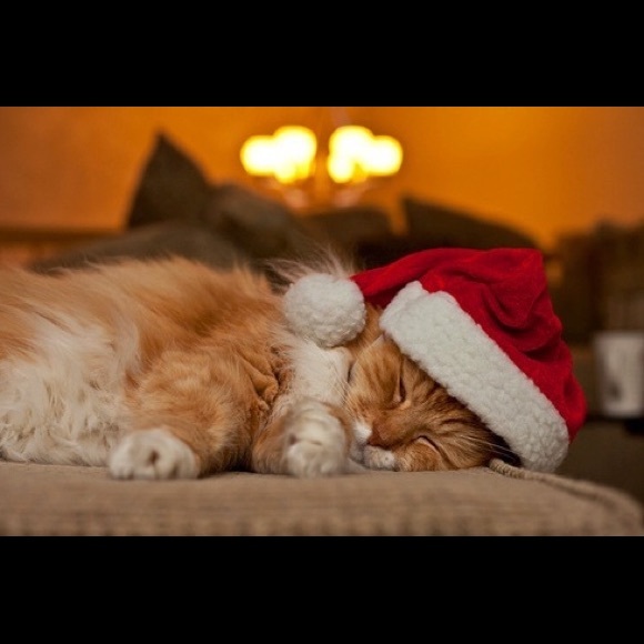 Kitty Surprise box, Christmas edition!!