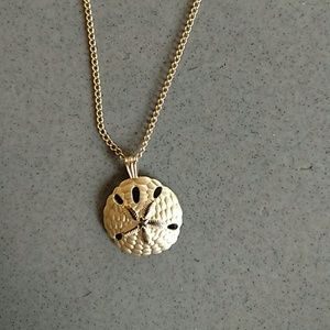 Sand Dollar Pendant and chain.