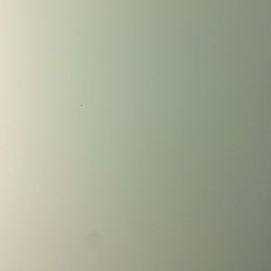 Meet your Posher, Serena