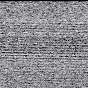 Meet your Posher, Maurice