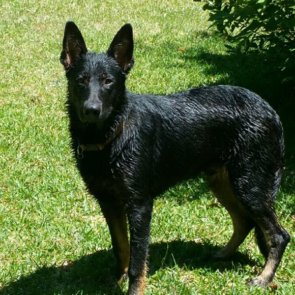 Meet your Posher, Alicia