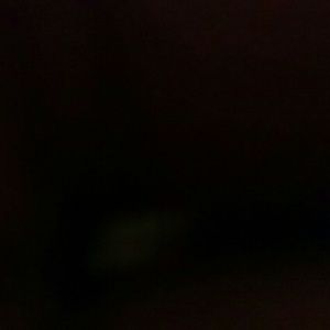 Meet your Posher, Malcom