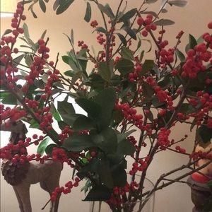 Meet your Posher, Astra