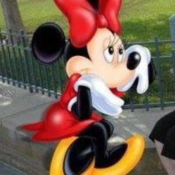 Meet your Posher, Collie - Picture 1 of 1