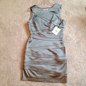 Calvin Klein NWT silver/gray dress ladies 4P.