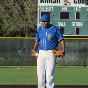 Meet your Posher, Boris