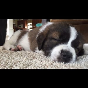 Meet your Posher, Mikenna