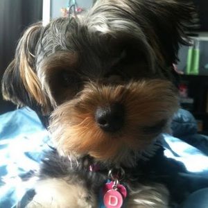 Meet your Posher, Katherine