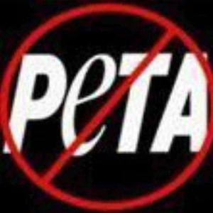 Meet your Posher, Karthick