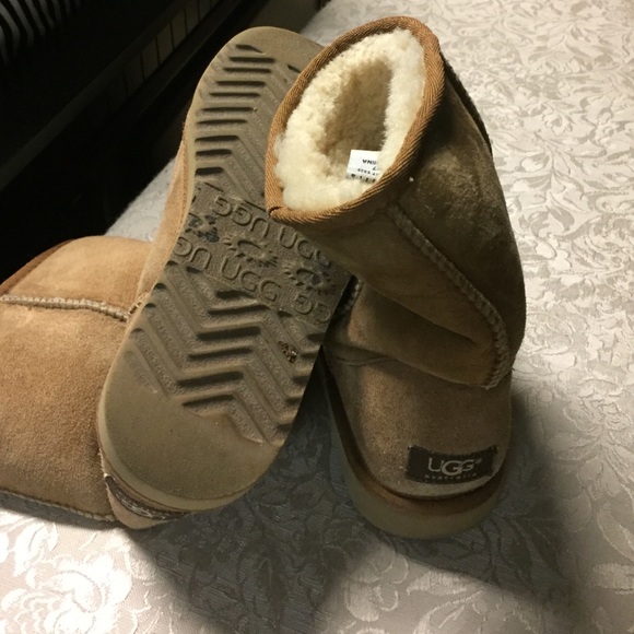 Chestnut uggs