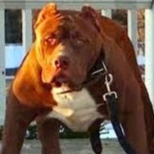 Meet your Posher, Terrell