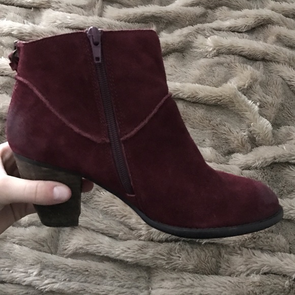 Steve Madden Burgundy Booties