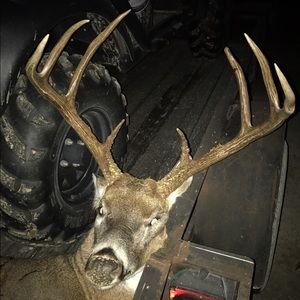 Meet your Posher, Keith