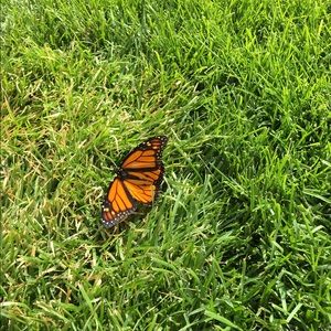 Meet your Posher, Kate