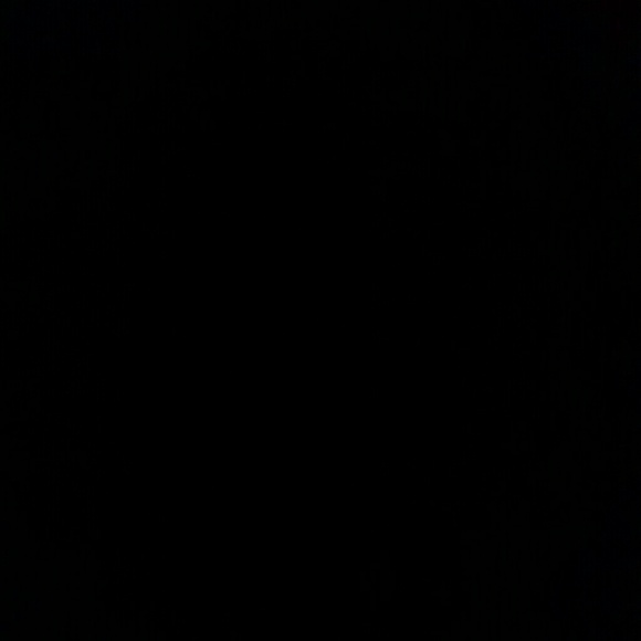 Meet your Posher, Janzyn - Picture 1 of 1