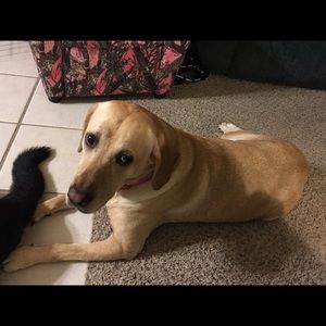 Meet your Posher, Jen