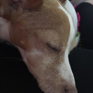 Meet your Posher, Kylie