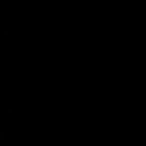 Meet your Posher, Kweli