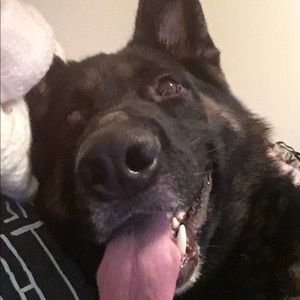 Meet your Posher, Sami