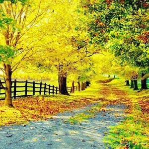 Meet your Posher, Soria