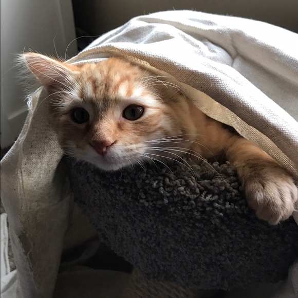 Meet your Posher, M - Picture 1 of 1