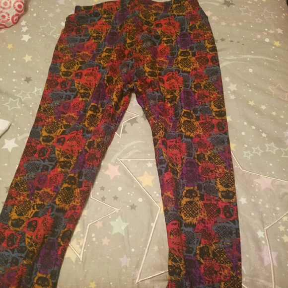 owl lularoe leggings
