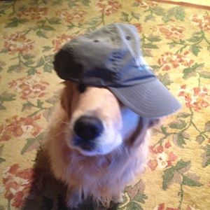 Meet your Posher, Jack