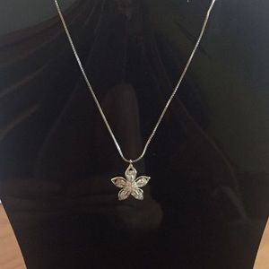 925 Silver Chain and Pendant