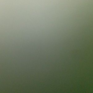 Meet your Posher, Kenny