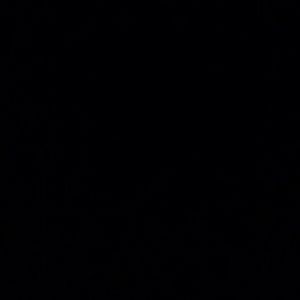 Meet your Posher, Raiesean