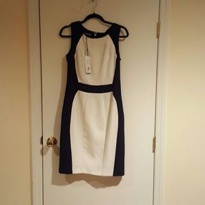 NWT Black & Winter white Sheath dress