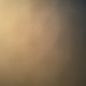 Meet your Posher, Shaneka